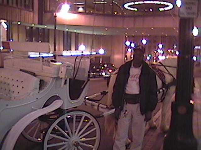 buggy ride and driver.jpg (30840 bytes)